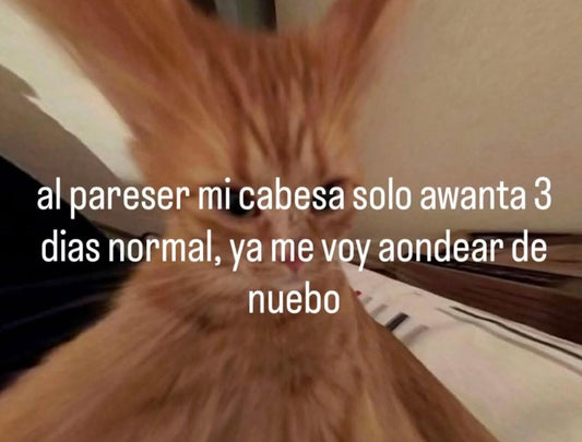 Escribir desde las multitudes que nos habitan